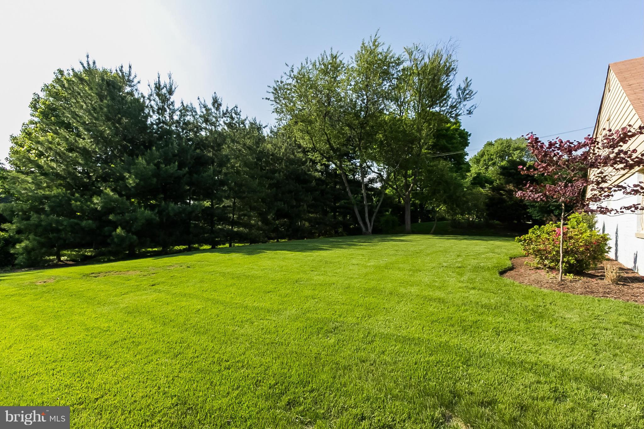 LONG MEADOW ESTATES - Residential