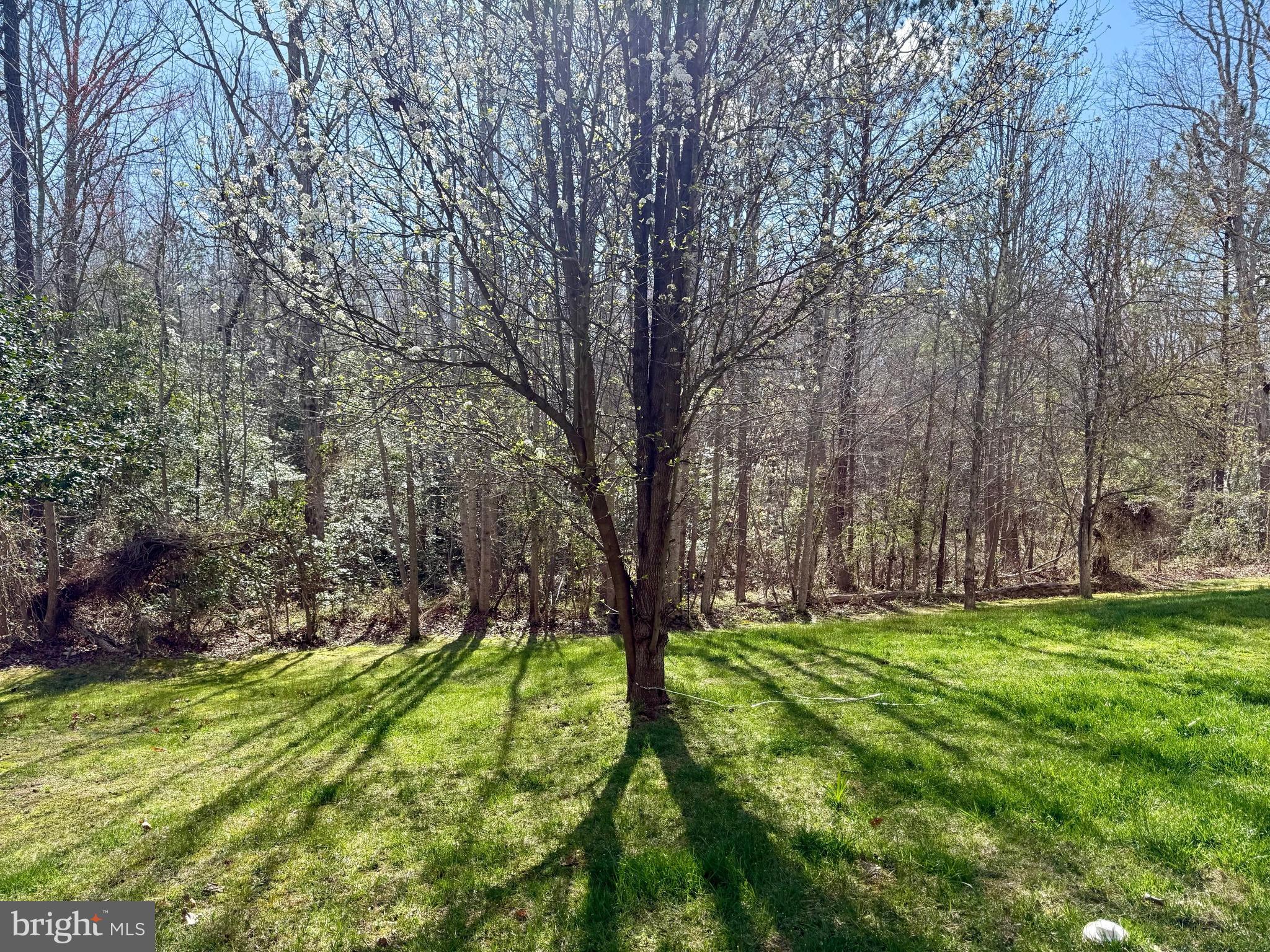 PEMBROOKE PHASE 2 - Residential