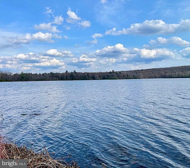 BLUE HERON - Residential