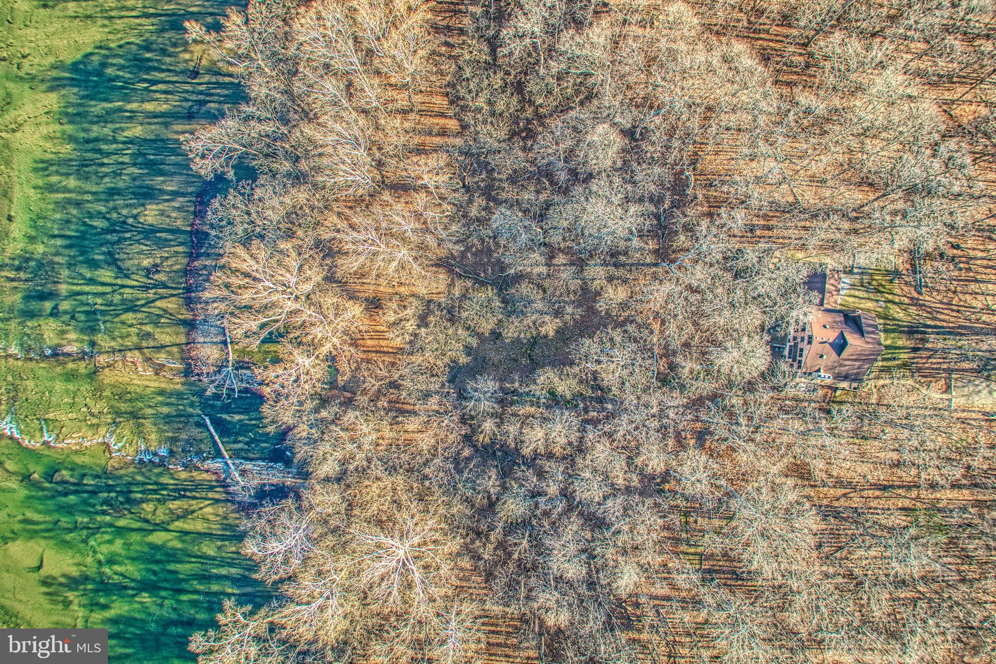 CALMES NECK ESTATES - Residential