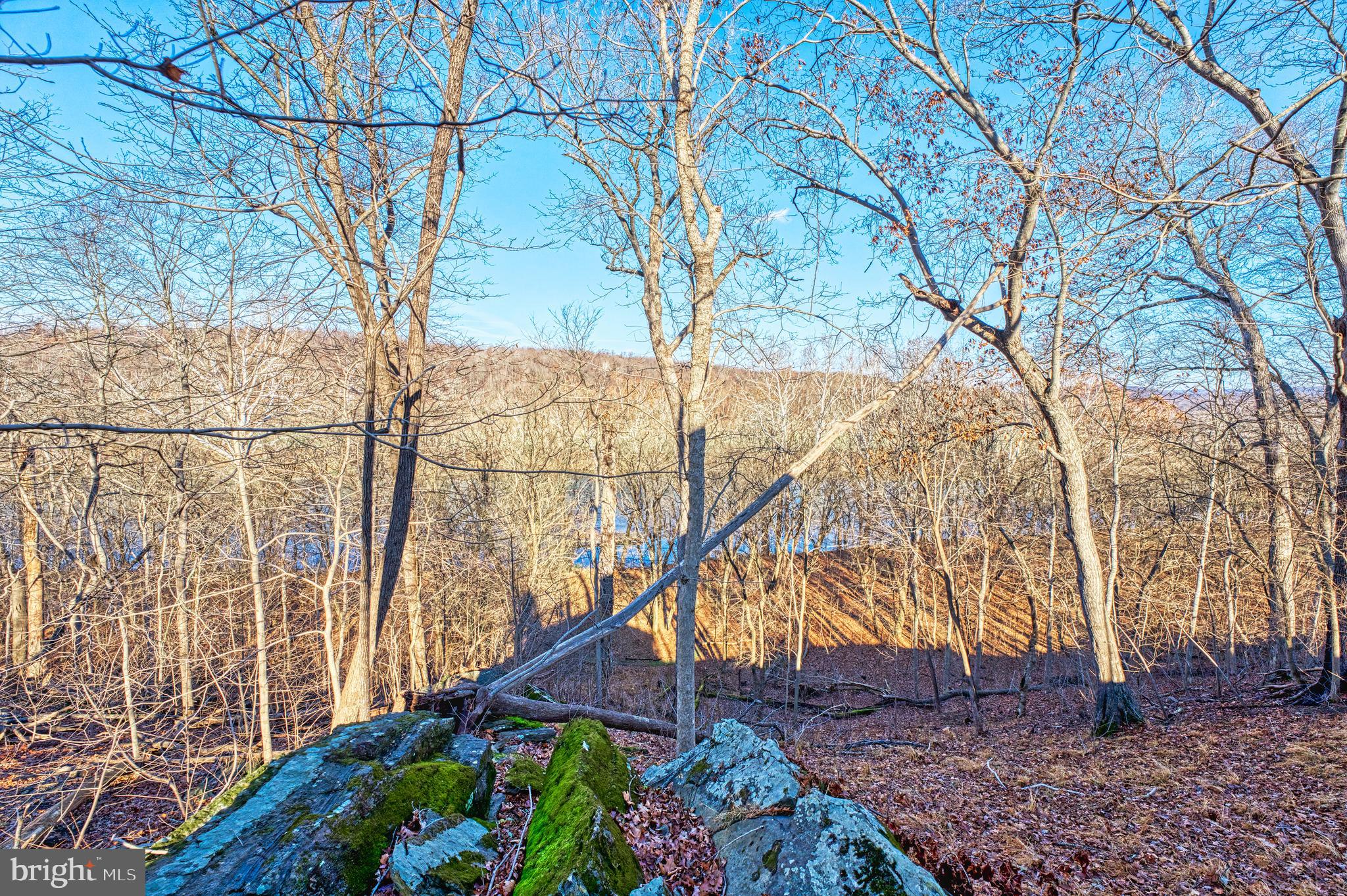 CALMES NECK ESTATES - Residential