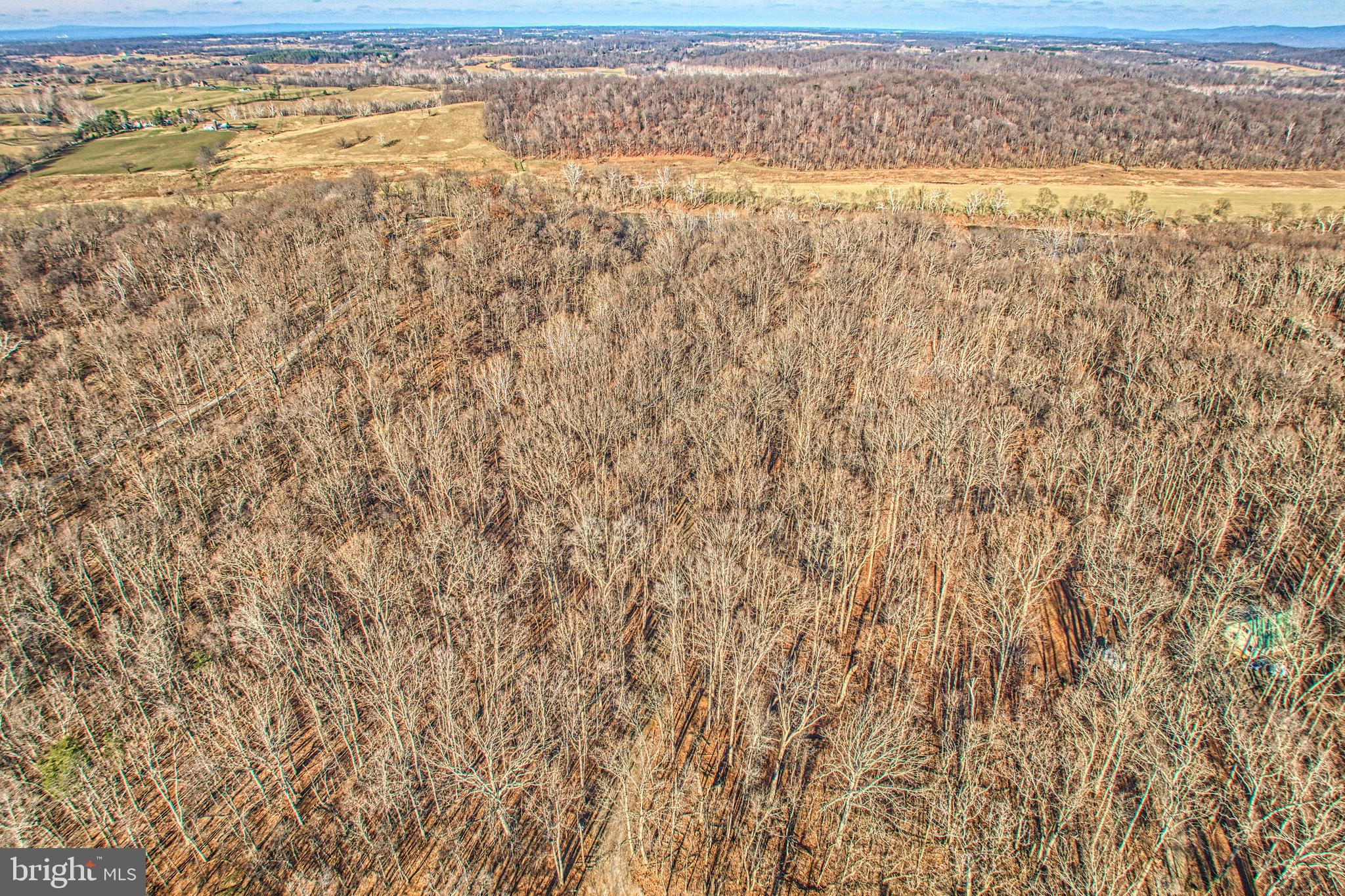 CALMES NECK ESTATES - Residential