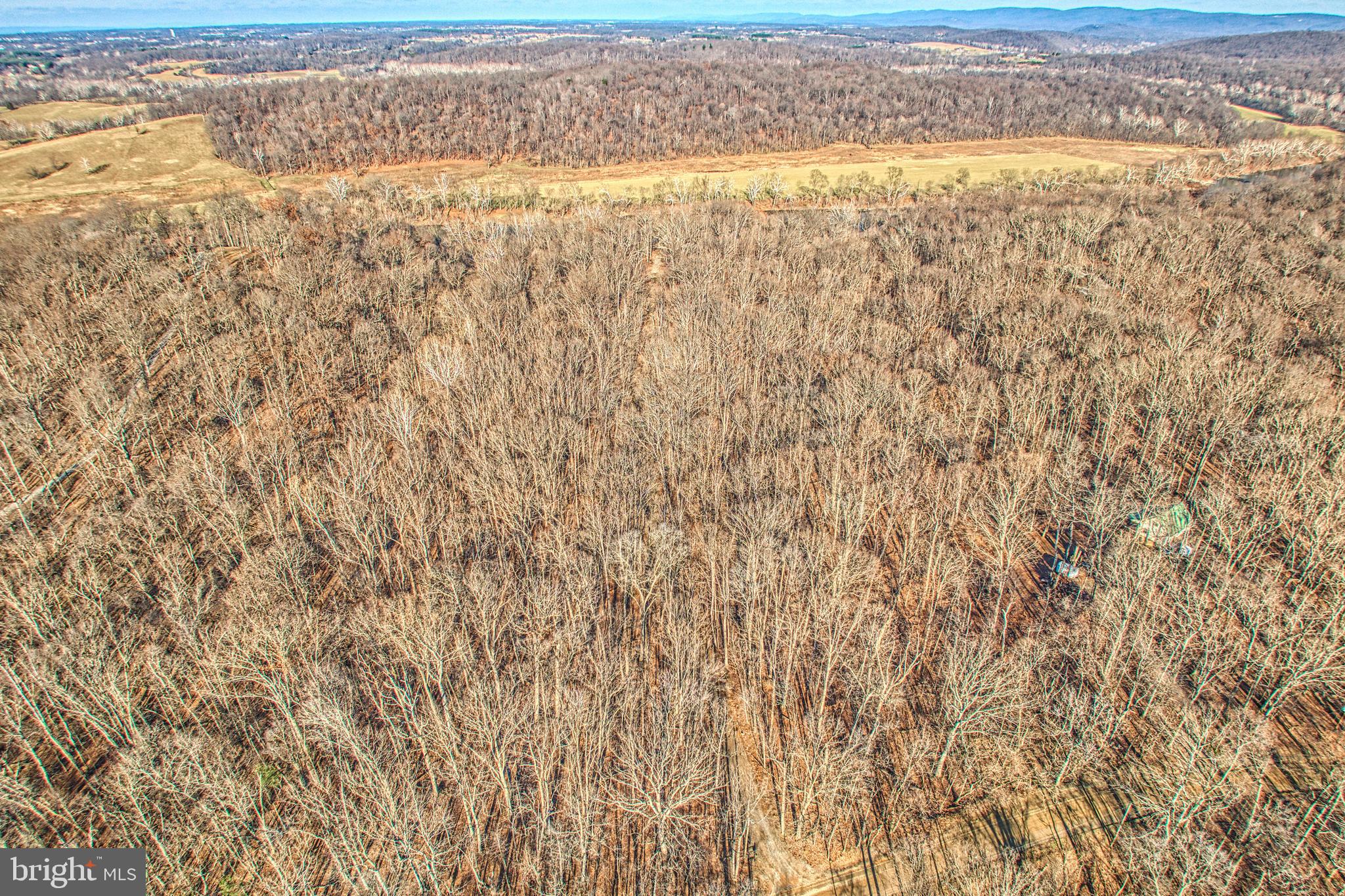 CALMES NECK ESTATES - Residential