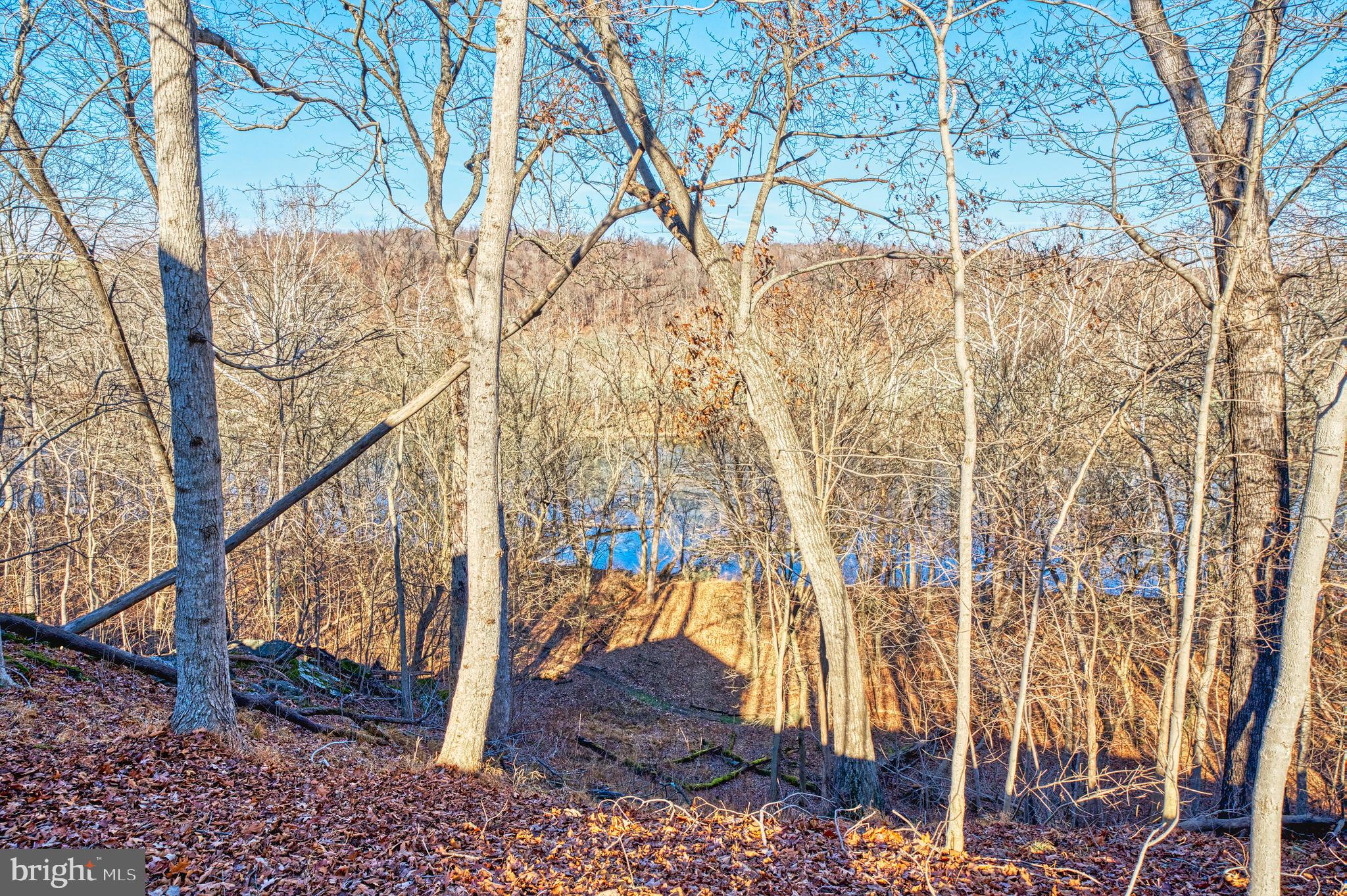 CALMES NECK ESTATES - Residential