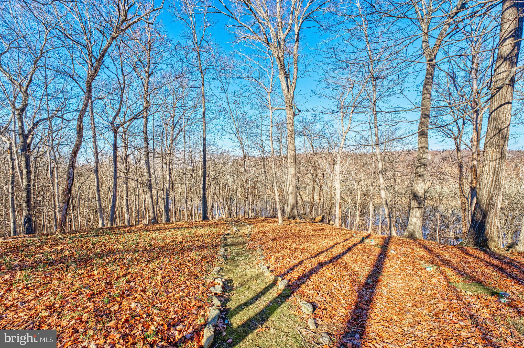 CALMES NECK ESTATES - Residential