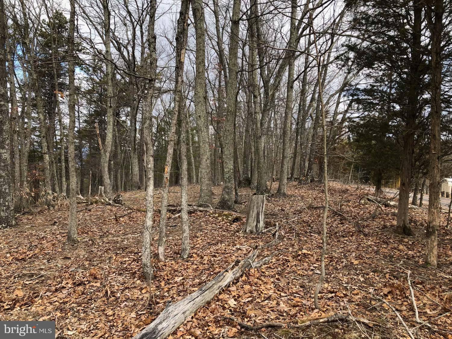 POTOMAC HIGHLAND FARM - Land