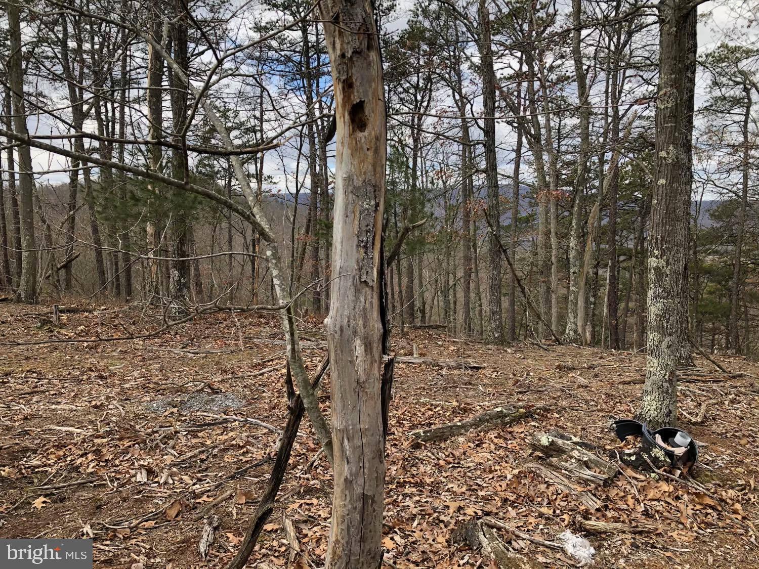 POTOMAC HIGHLAND FARM - Land