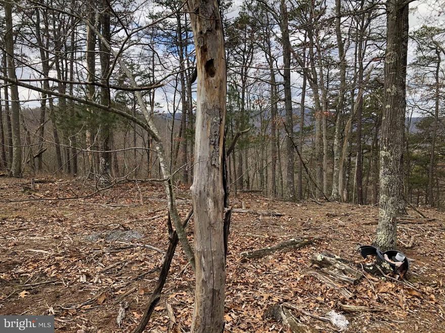 Nice 2+ acre lot in the country with mountain views - just waiting for you to build your dream home or weekend getaway!