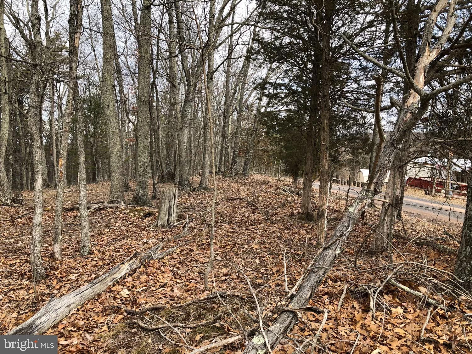 POTOMAC HIGHLAND FARM - Land