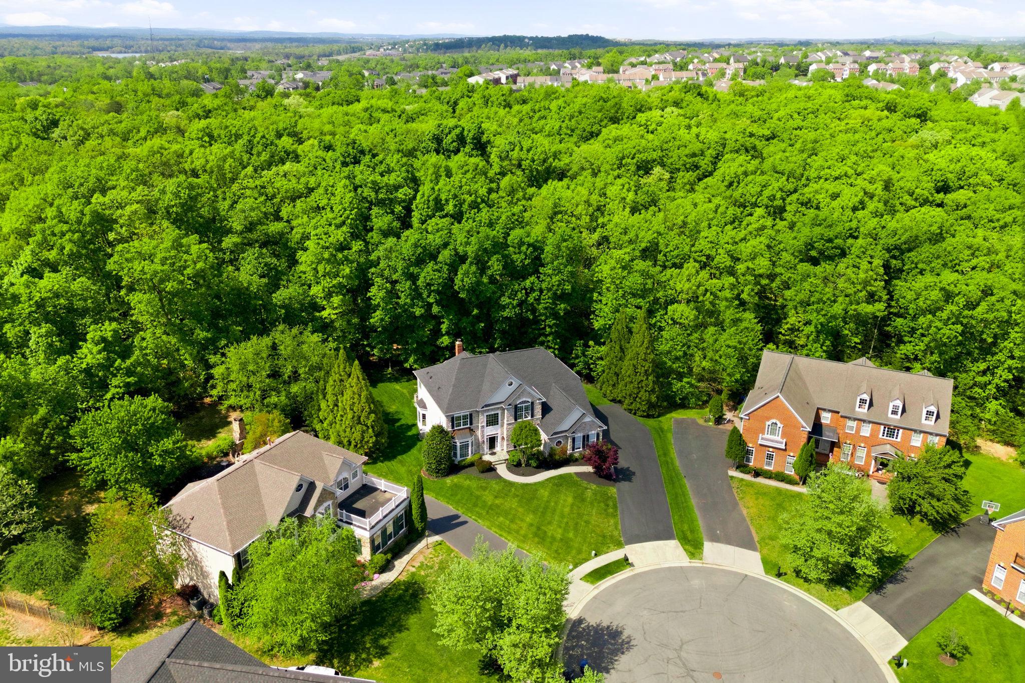 ESTATES OF FOREST RIDGE - Residential