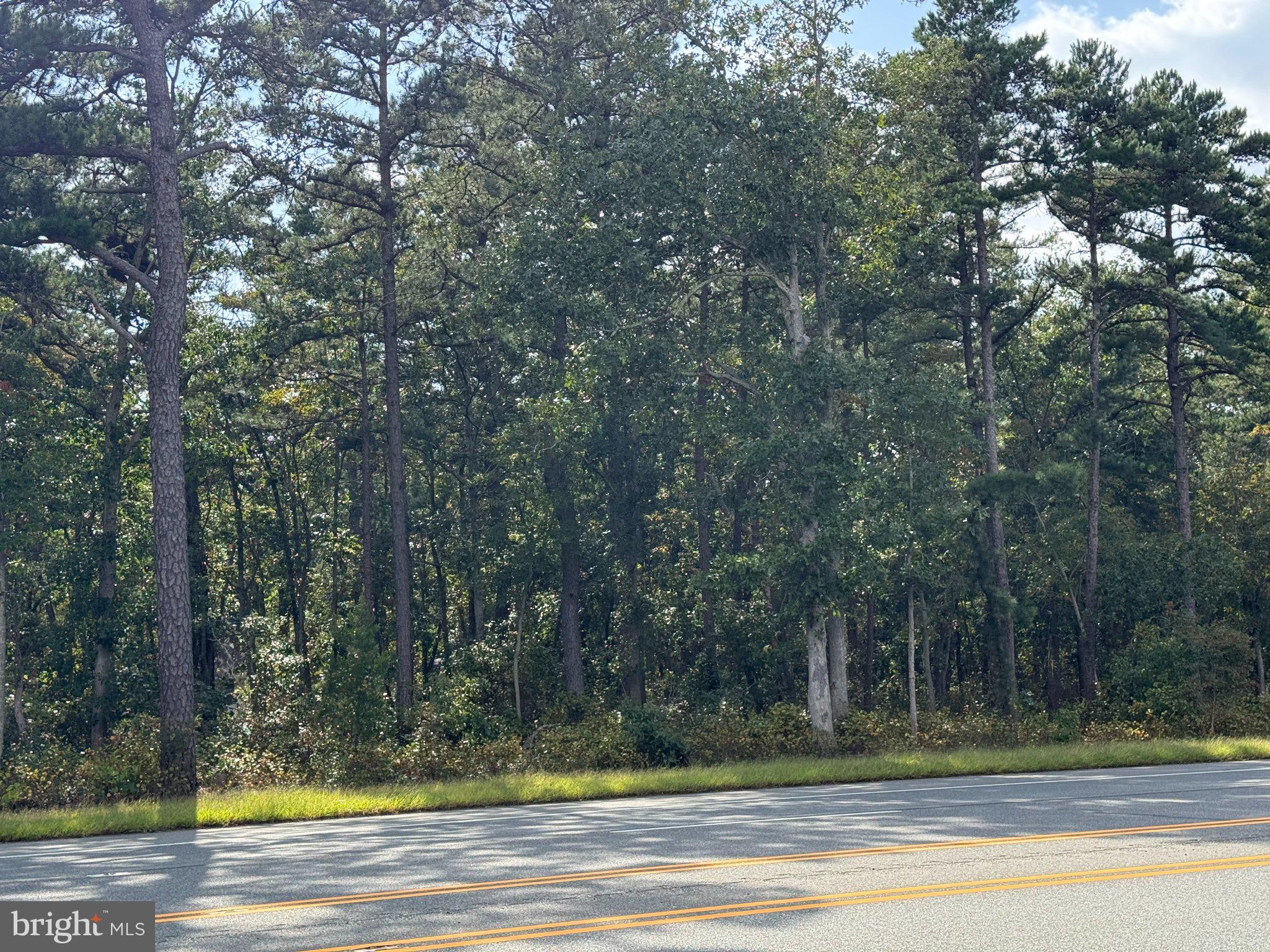 BLACK HORSE PIKE