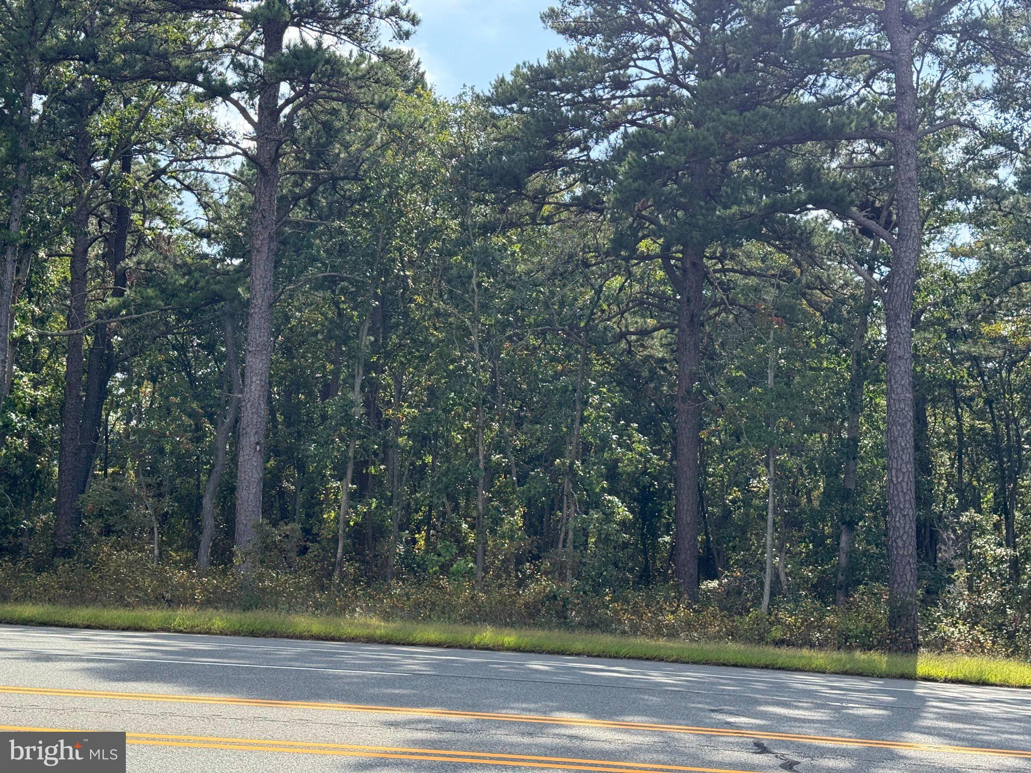 BLACK HORSE PIKE