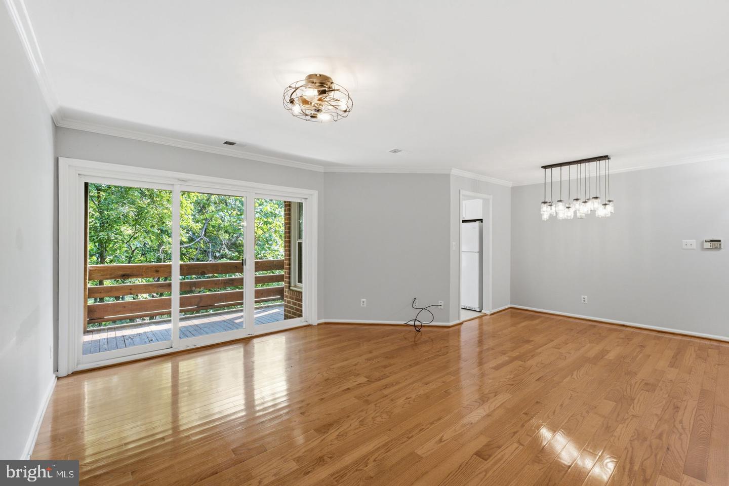 11200 BEAVER TRAIL COURT