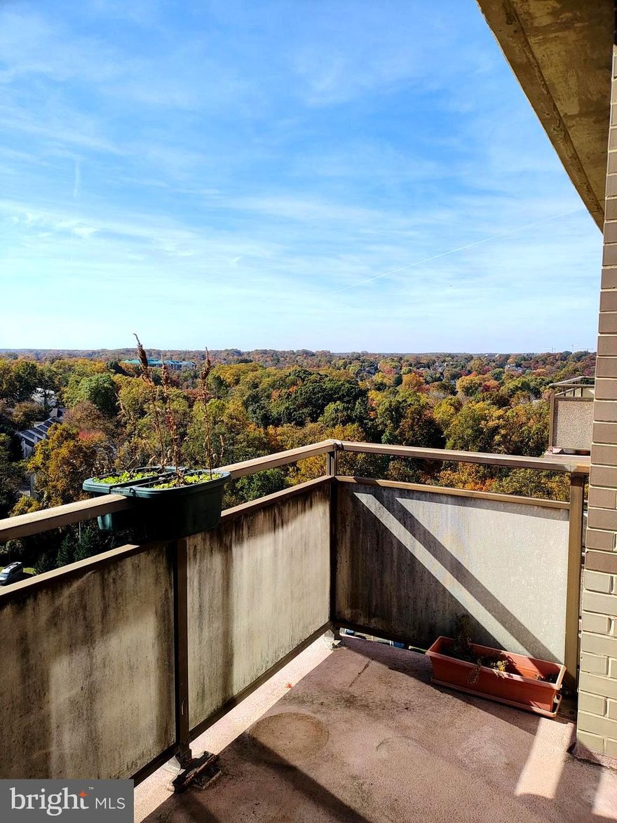 Top floor Deluxe one bedroom at the Promenade! Panoramic views from the balcony, looking out over Bethesda and Tyson's in the distance. Abundant natural light flows in through oversized windows and over the open living space. Spacious bedroom with room for a king size bed and furnishings, as well as two closets, one a walk-in. Ample closets provide plenty of storage with an entry hall closet and another walk-in at the front door. The Promenade Towers has onsite fitness center, indoor and outdoor pools, tennis courts, and a large outdoor patio area for entertaining. The building also boasts onsite convenience store, grill, new Chef Tony's restaurant, dry cleaner, salon, and more. Rent includes access to all amenities, utilities (gas, water, electric, and basic cable), and assigned garage parking space. All applicants subject to Promenade Towers Management requirements and approval.