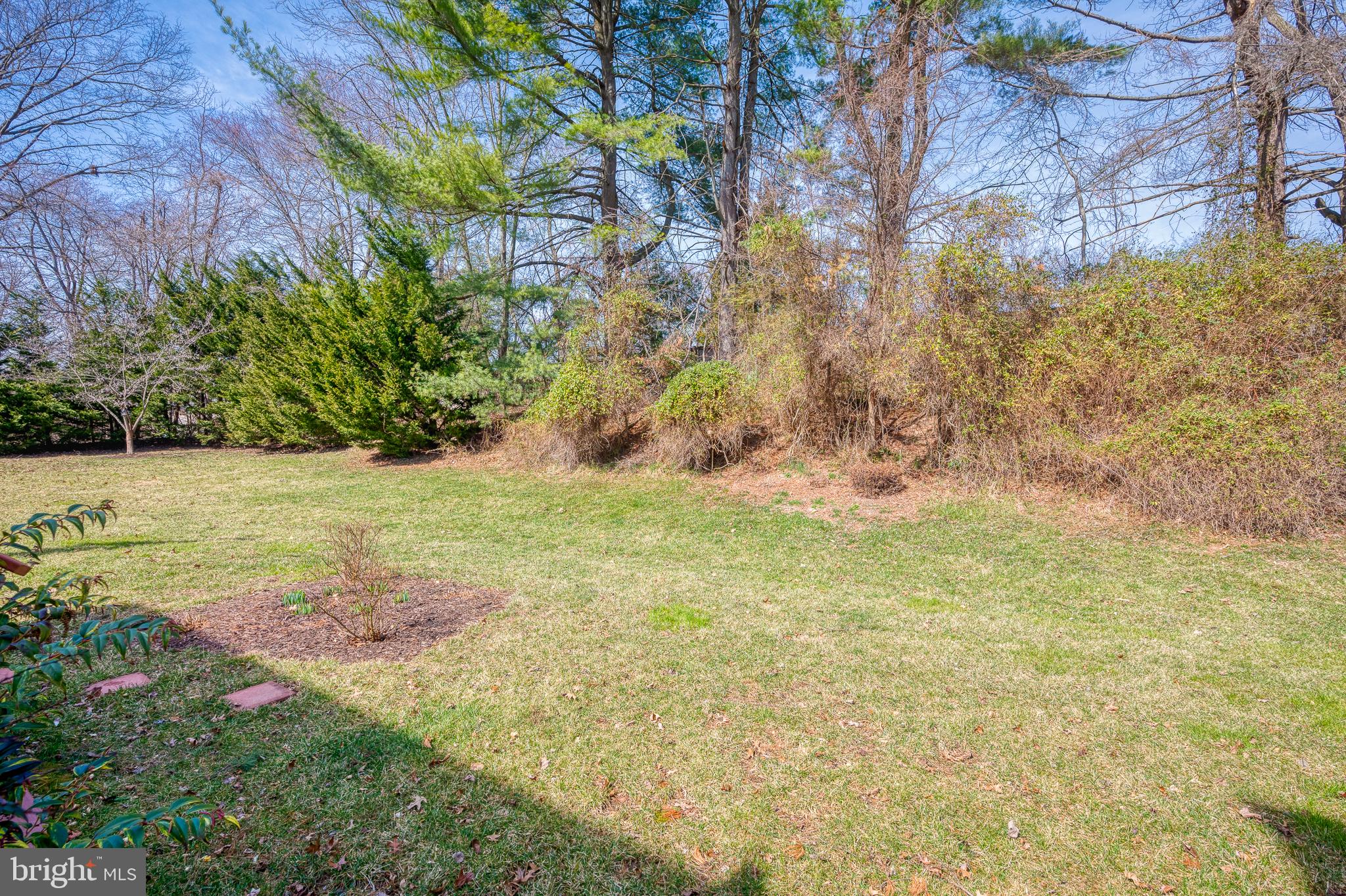 CYPRESS HILLS - Residential