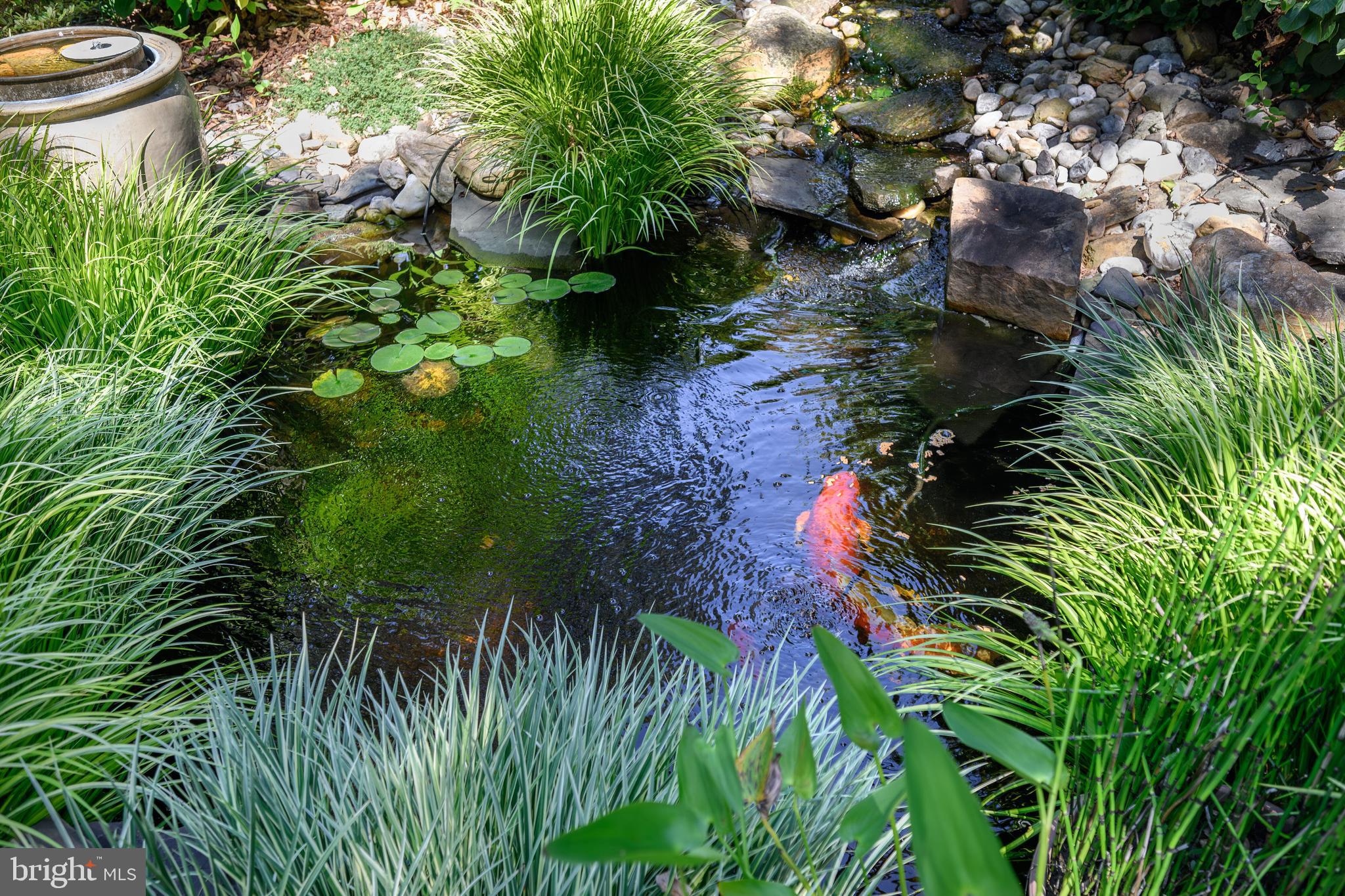 WYMONT PARK - Residential