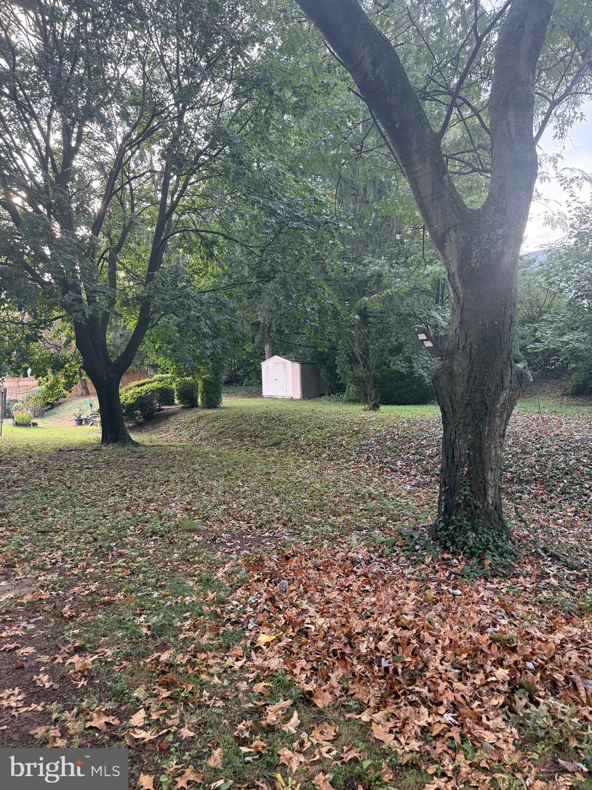 BELLEVUE PARK - Residential