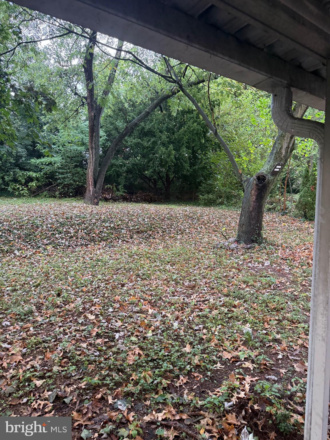 BELLEVUE PARK - Residential