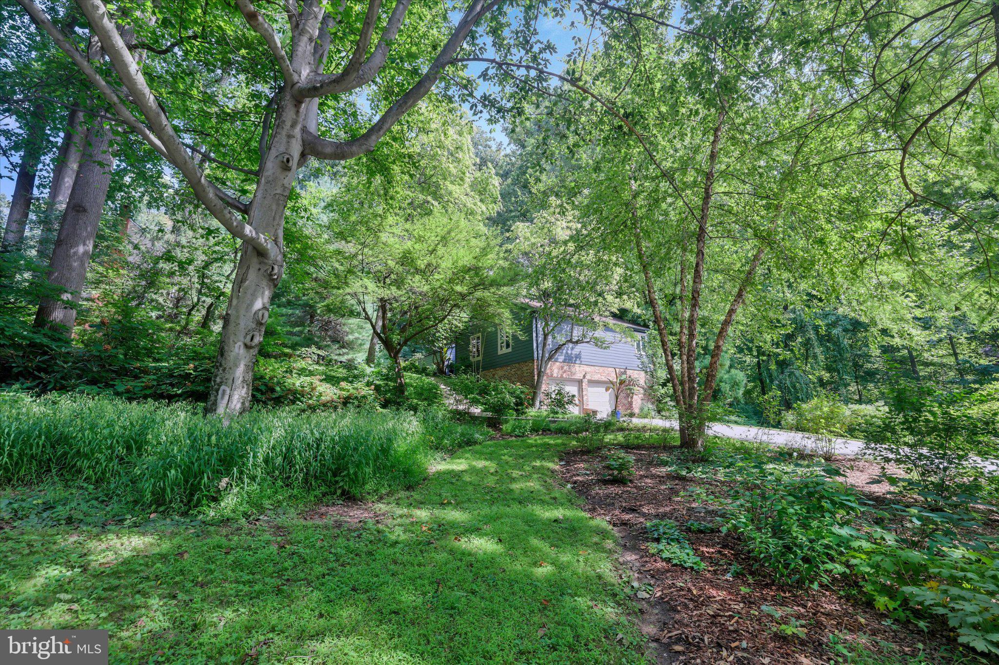 10 CINNAMON DRIVE