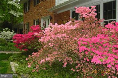 HUNTERS WOODS VILLAGE - Residential Lease