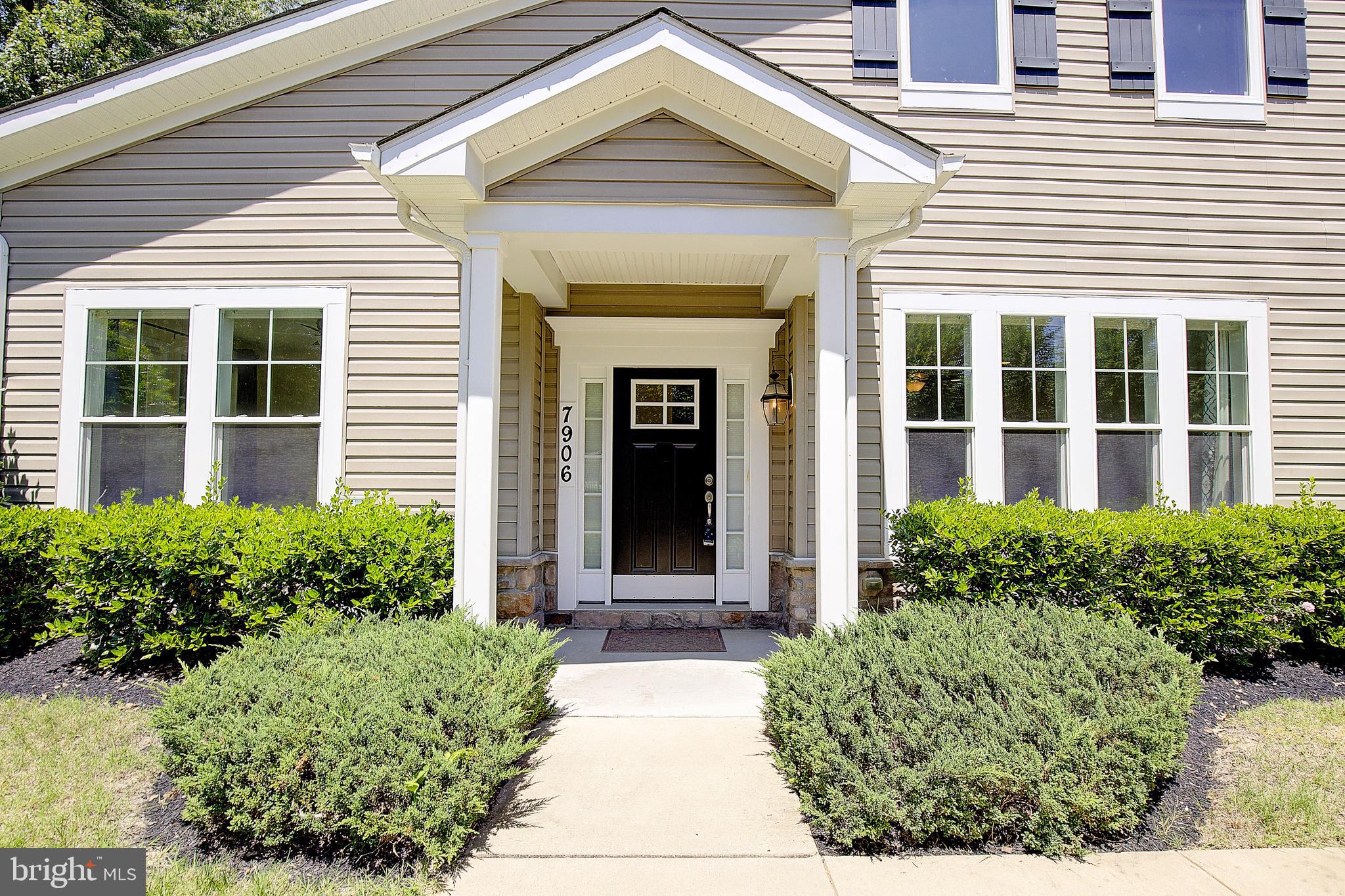 7906 BLUE PHLOX 3