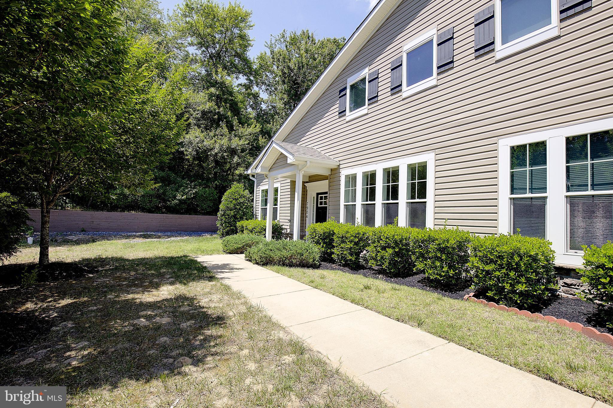 7906 BLUE PHLOX 3
