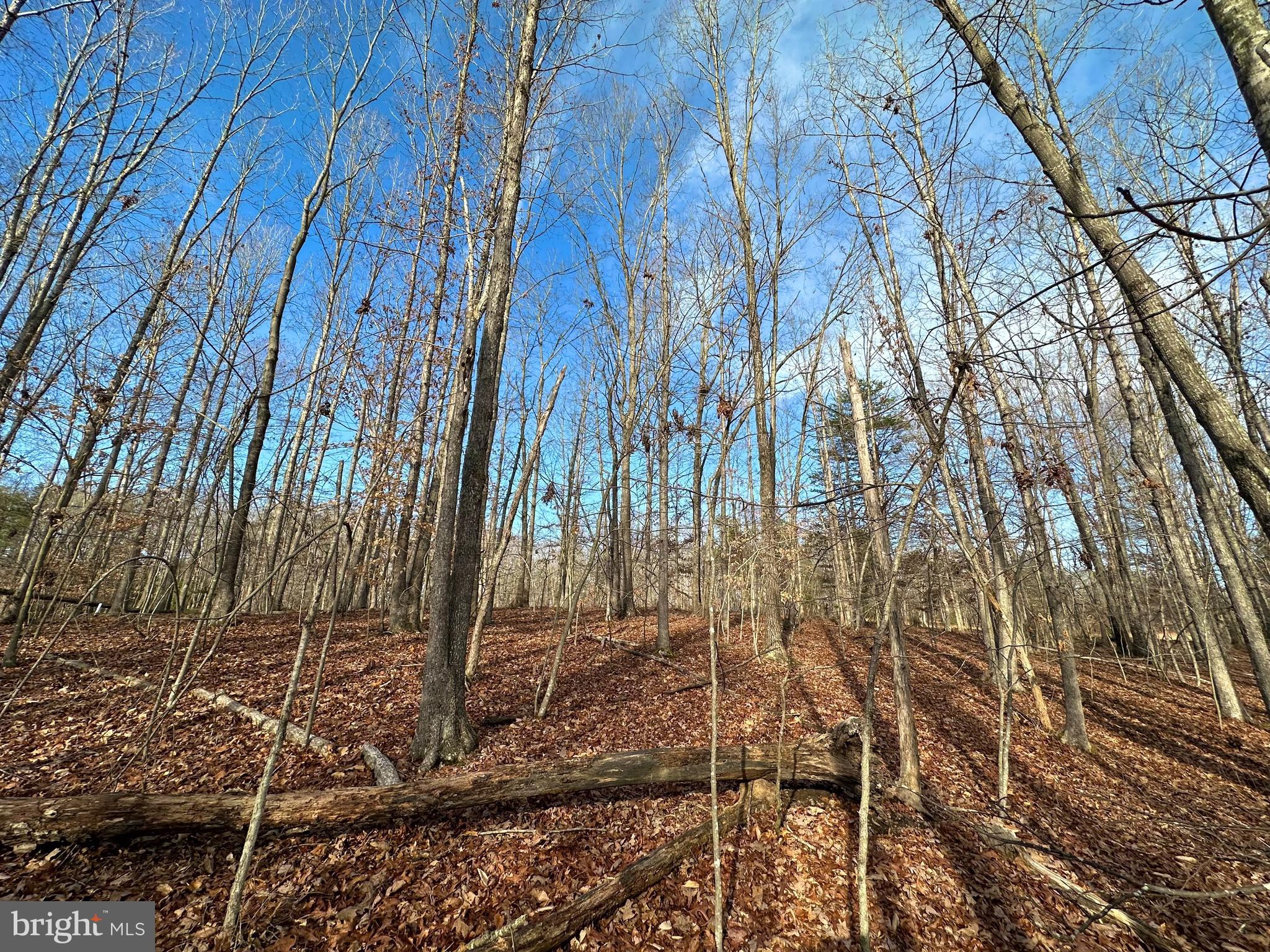 SHENANDOAH CROSSING - Land