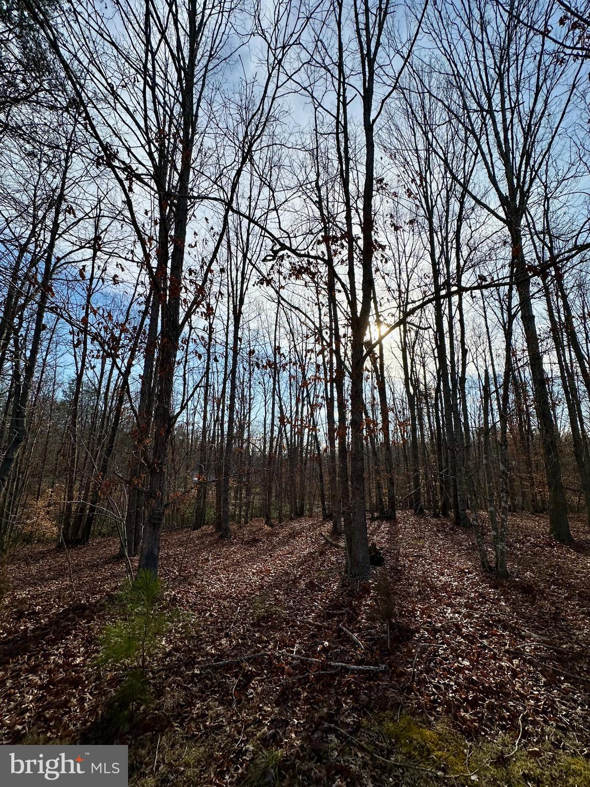 SHENANDOAH CROSSING - Land