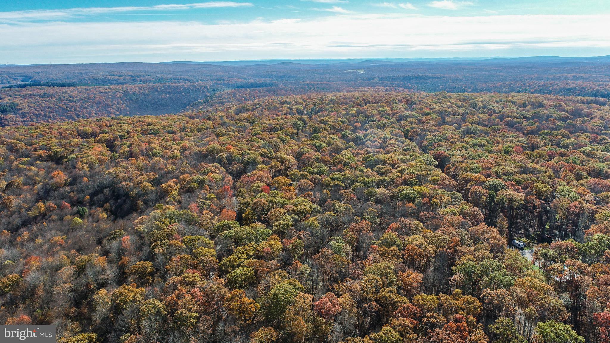 YOUGH MT. RESORT - Land