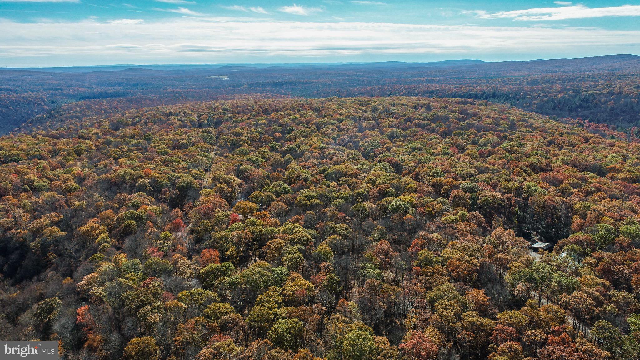 YOUGH MT. RESORT - Land