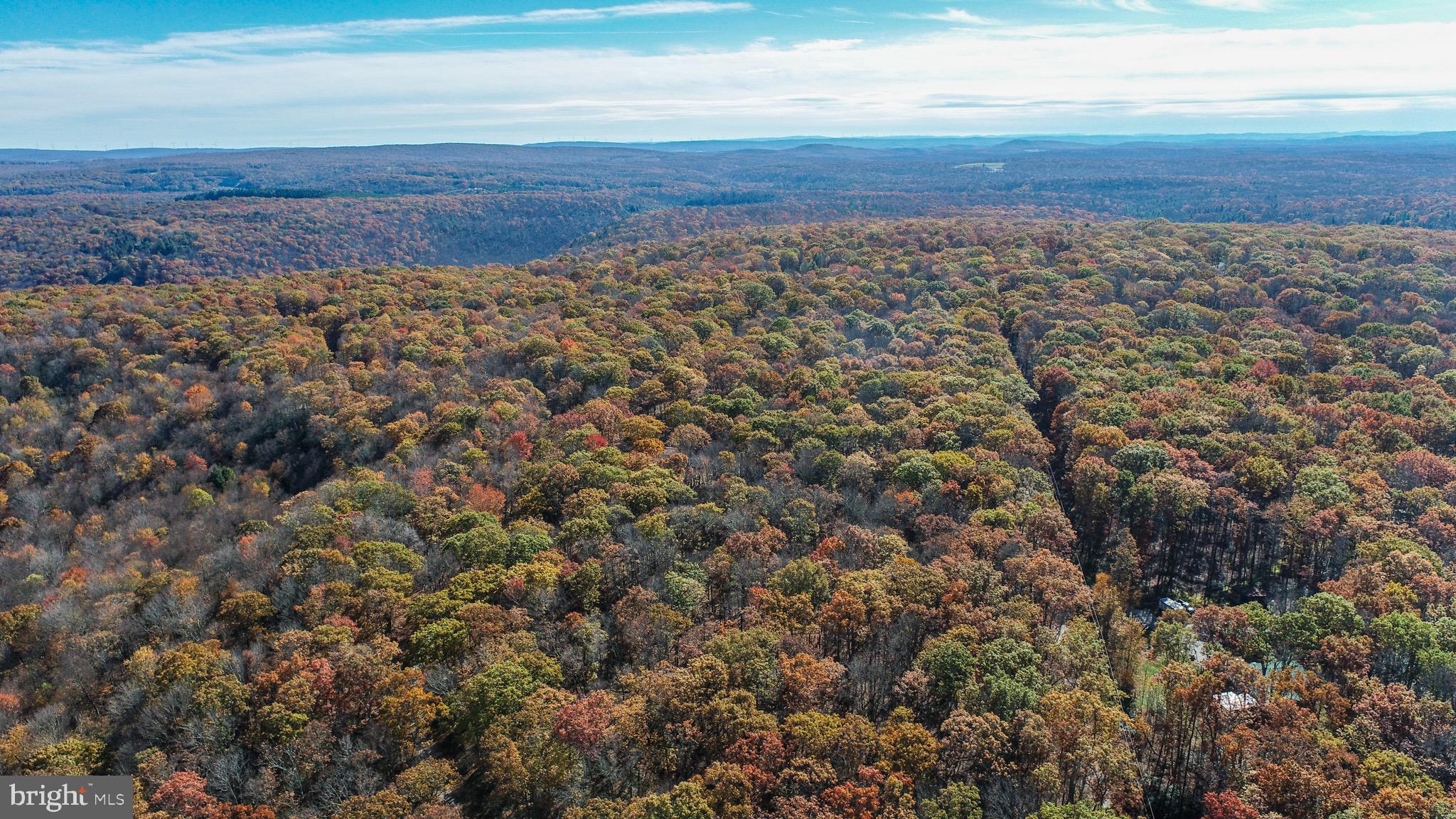 YOUGH MT. RESORT - Land