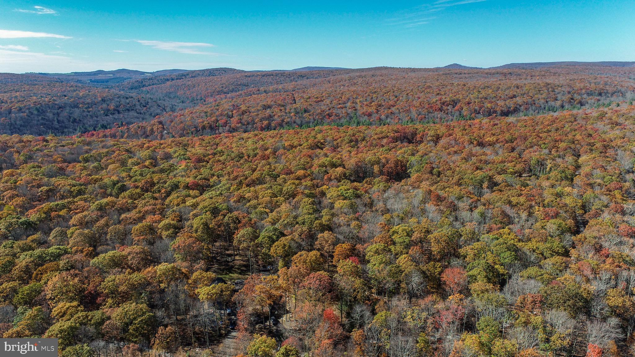 YOUGH MT. RESORT - Land