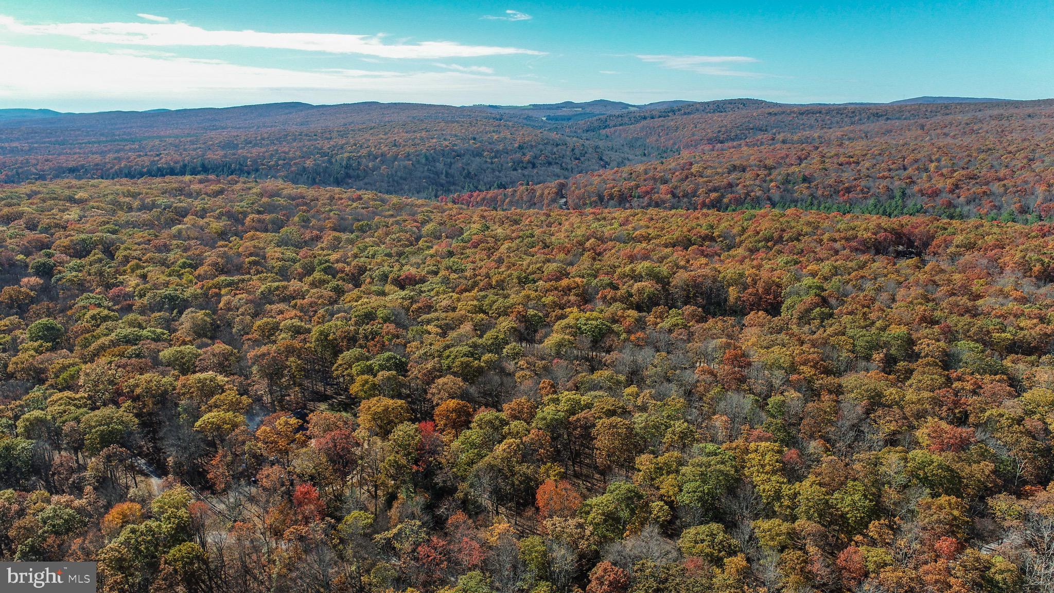 YOUGH MT. RESORT - Land