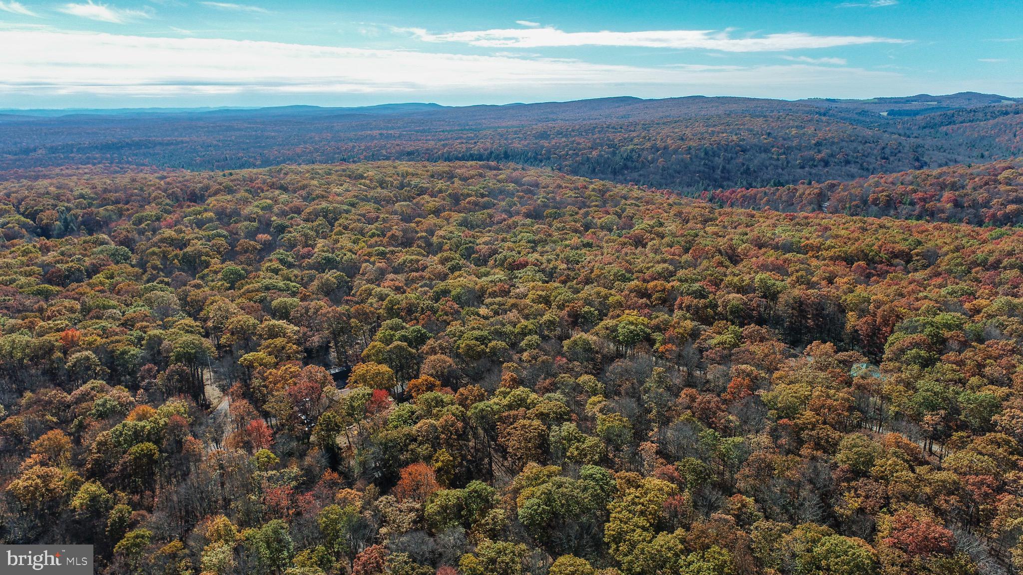 YOUGH MT. RESORT - Land