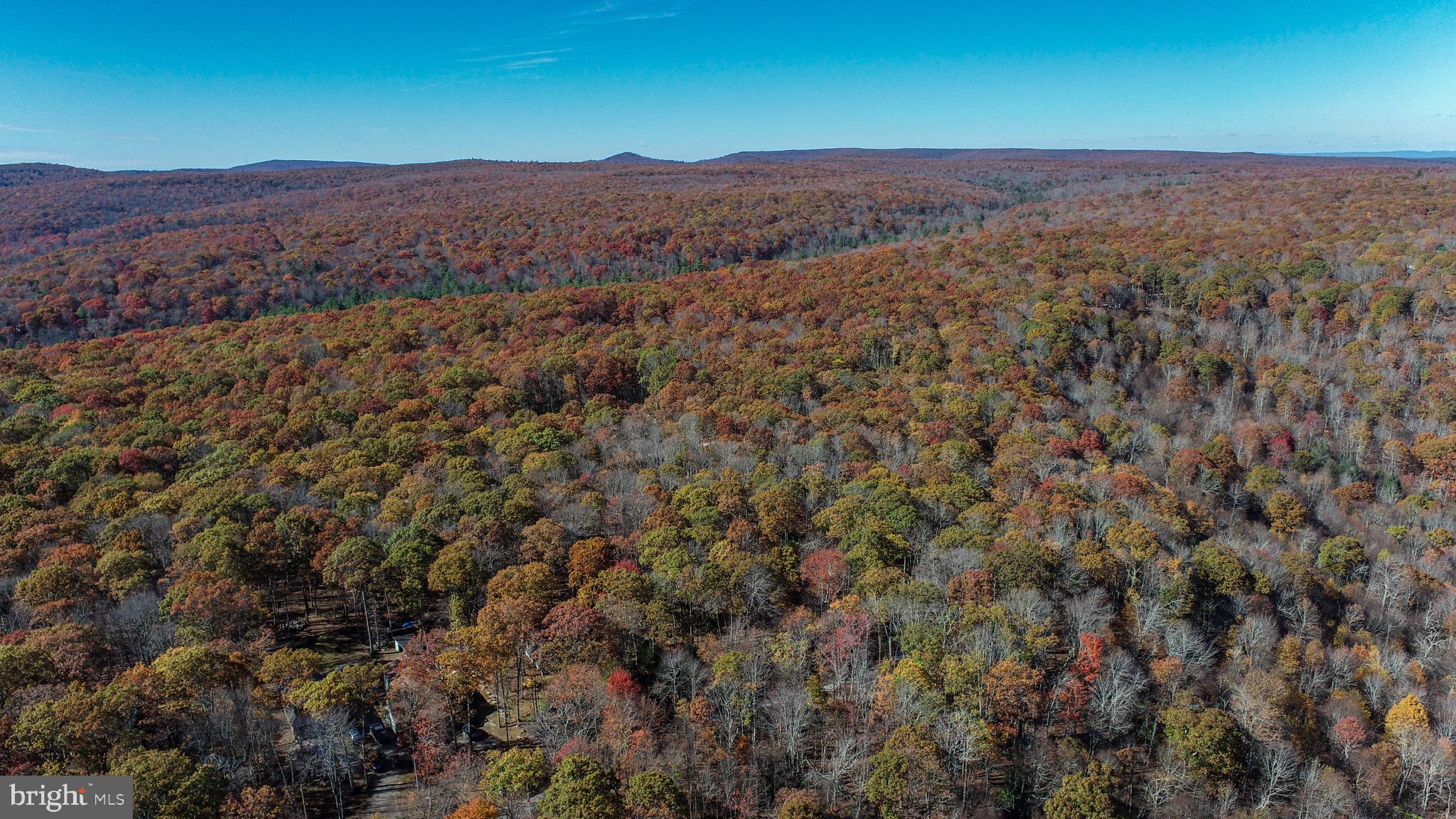 YOUGH MT. RESORT - Land