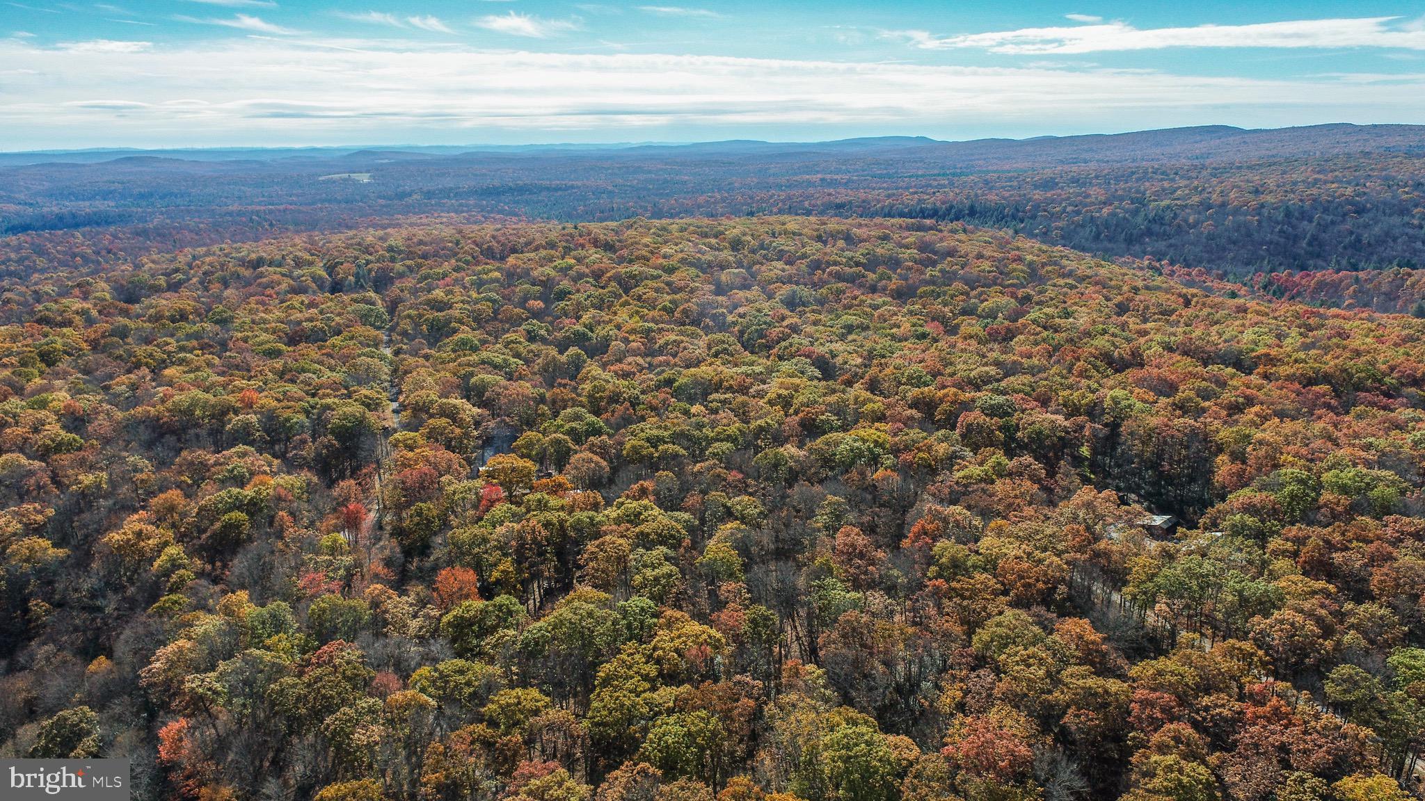 YOUGH MT. RESORT - Land