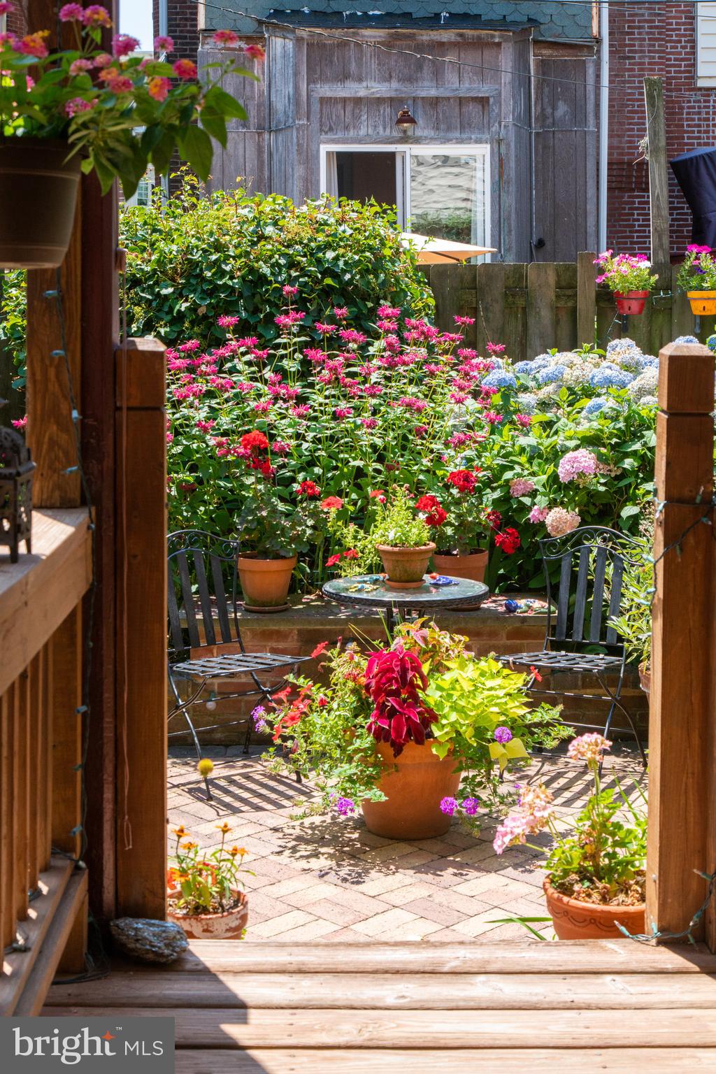 UNIVERSITY CITY - Residential