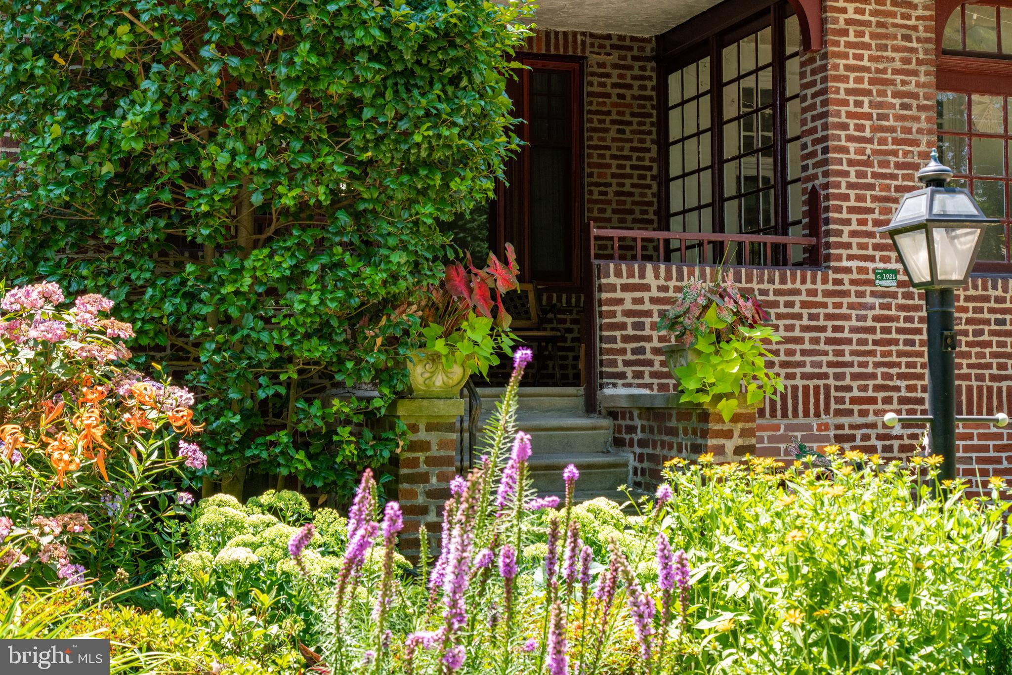 UNIVERSITY CITY - Residential