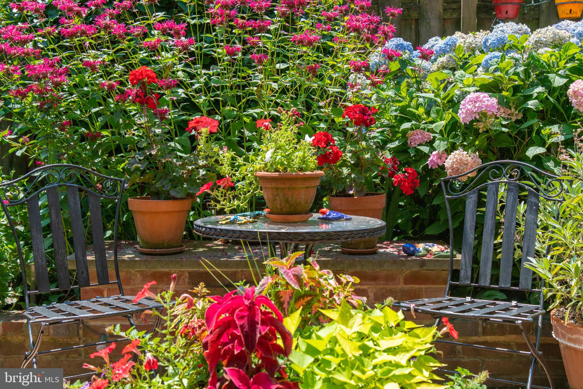 UNIVERSITY CITY - Residential