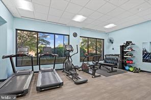 ALEXANDRIA HOUSE - Residential