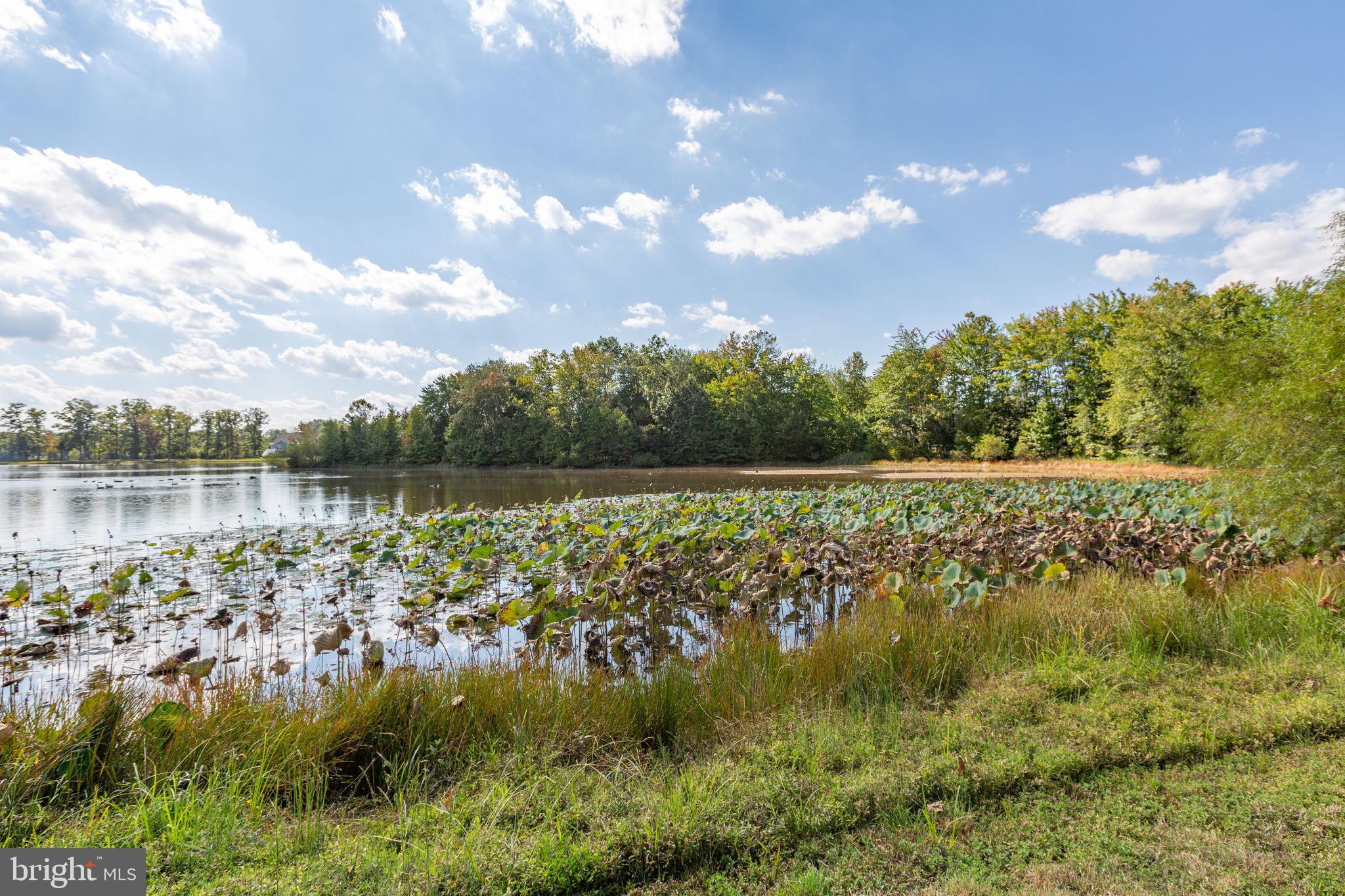 BROOKSIDE - Residential