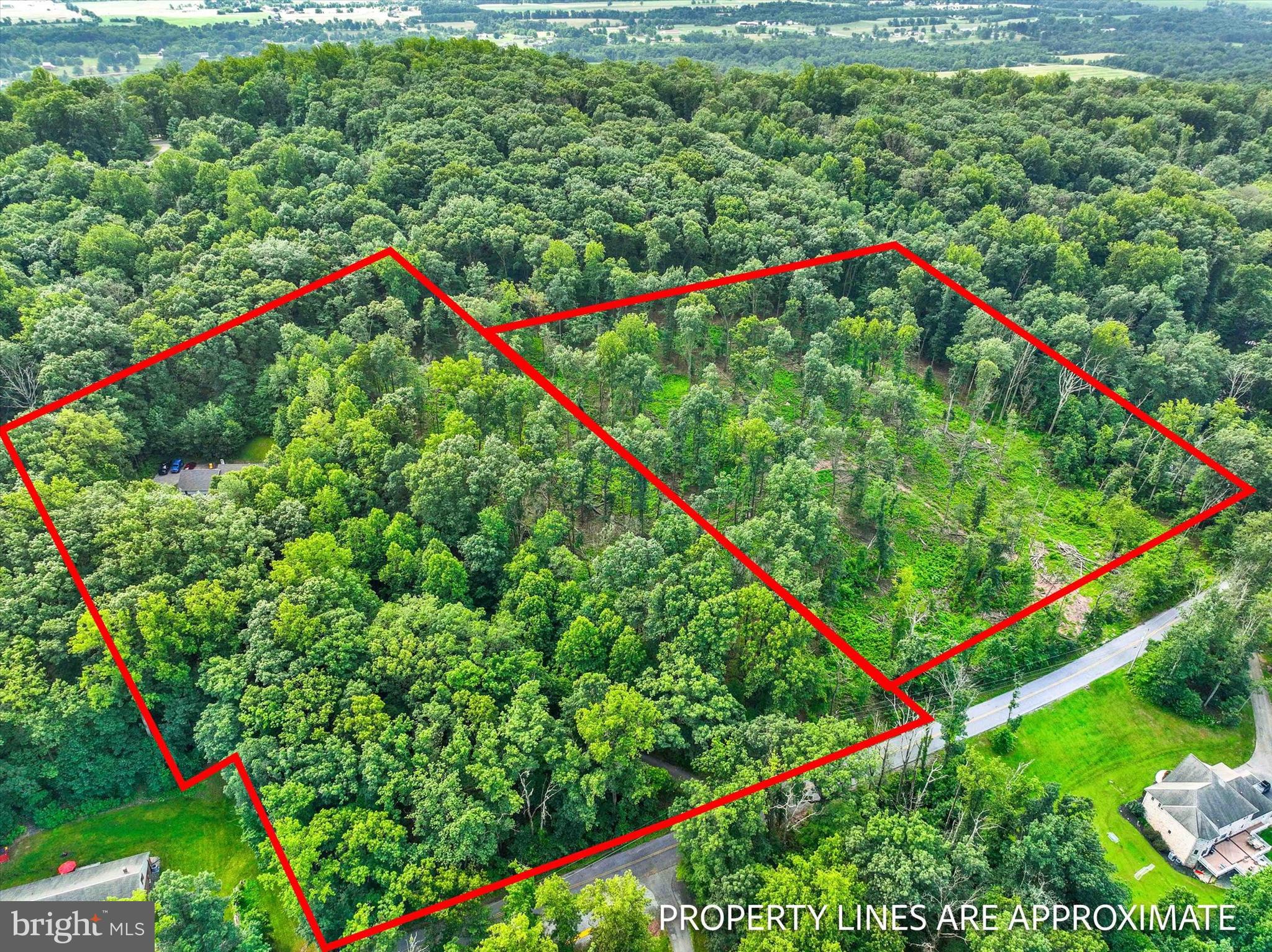2900 DEEP HOLLOW ROAD