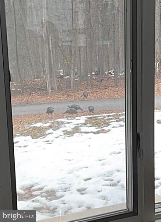 2900 DEEP HOLLOW ROAD