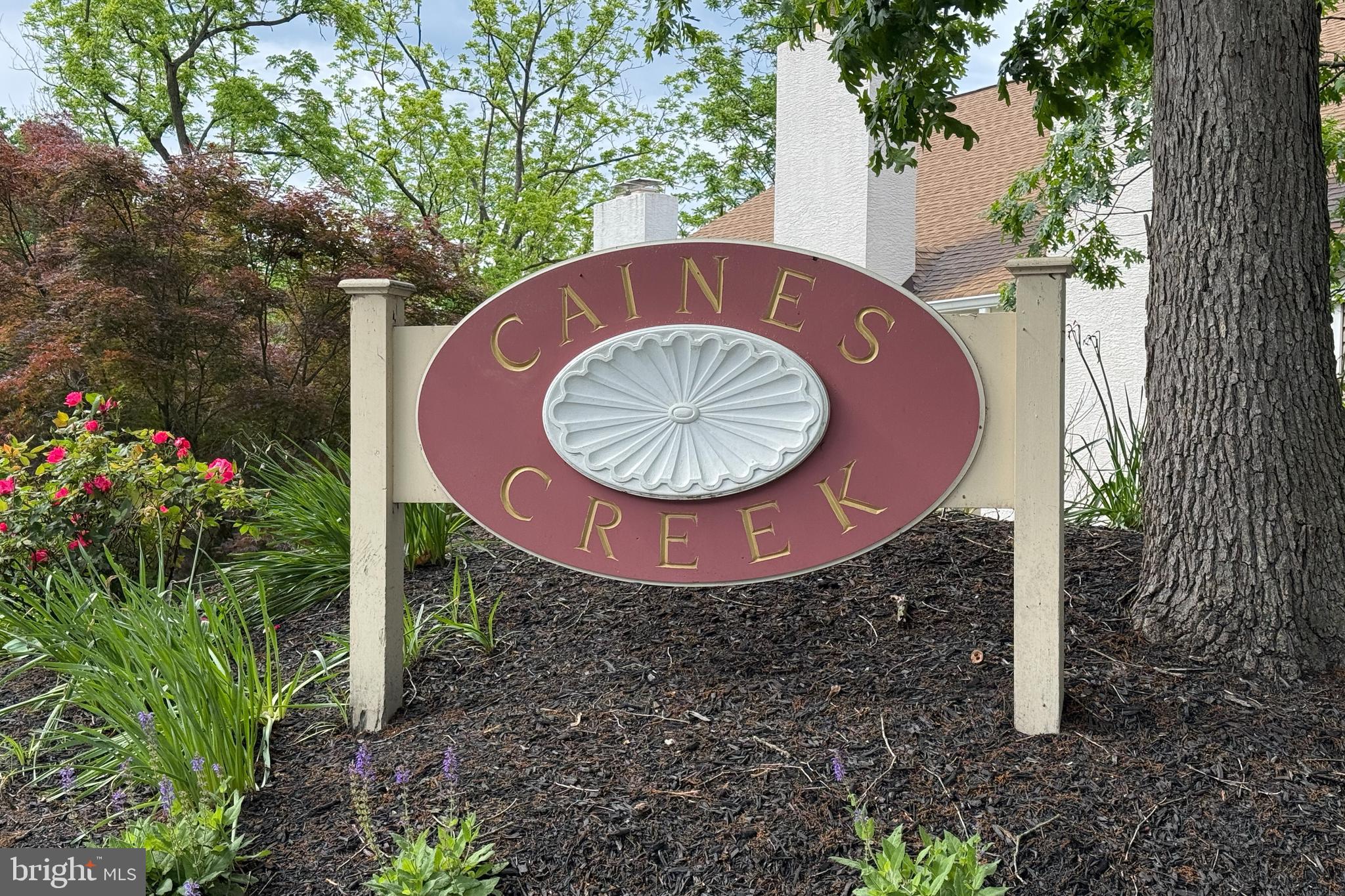 CAINES CREEK - Residential