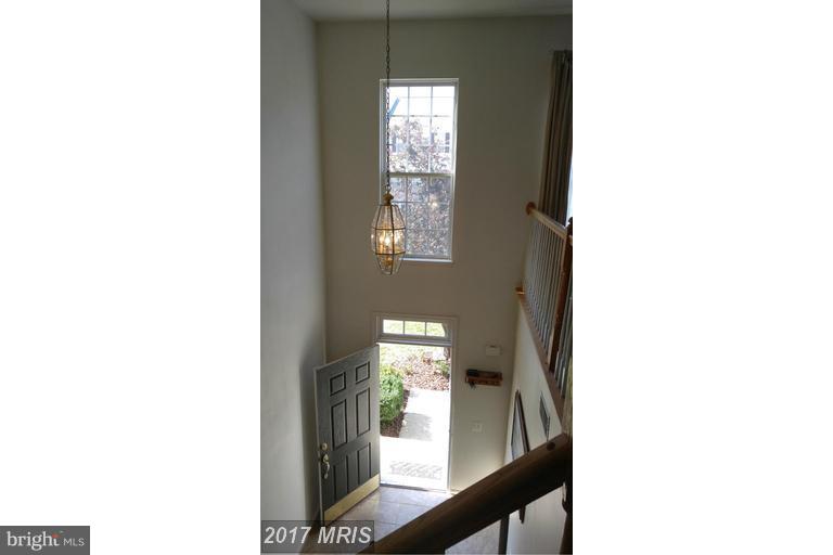 WEXFORD - Residential Lease