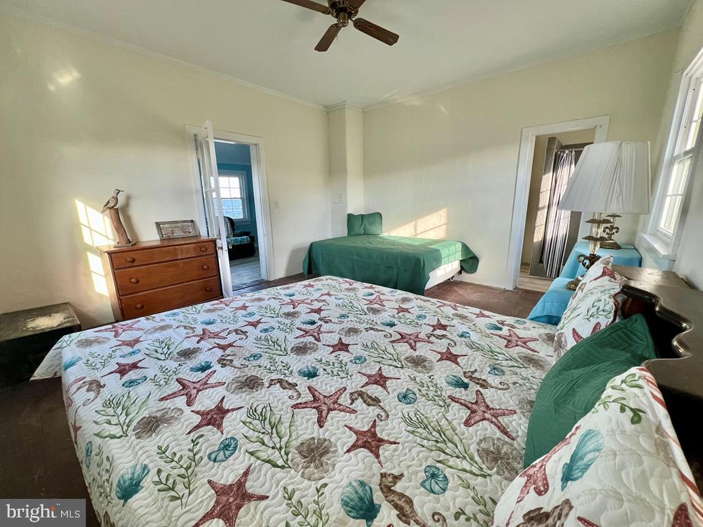 NOT IN SUBDIVISION - Residential