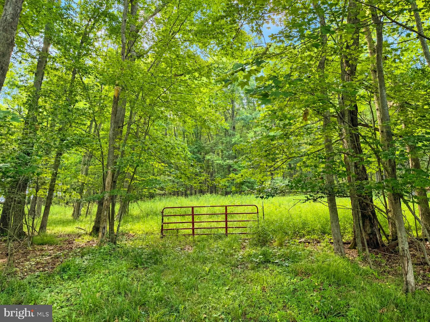 Lot B LOCH DEER ROAD