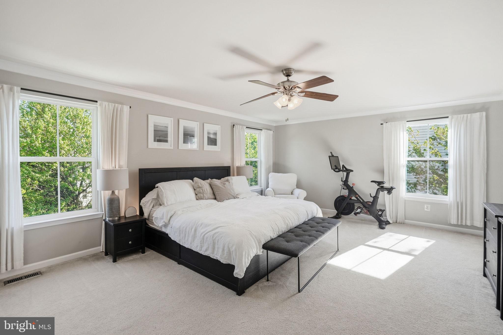 BOLT PROPERTY - Residential