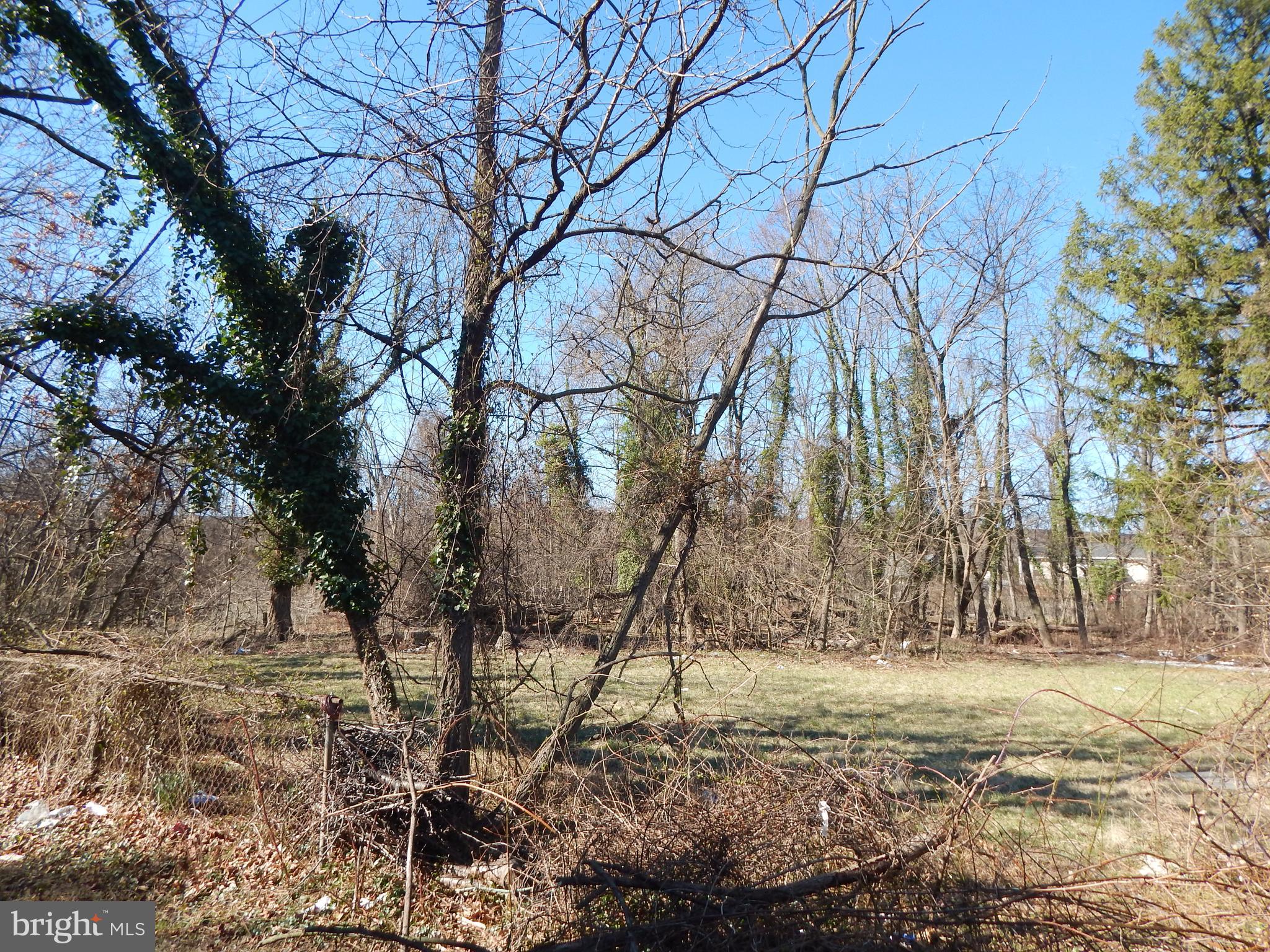 CATONSVILLE - Residential Income