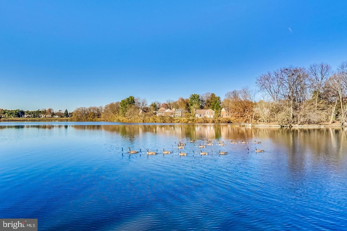 NORMANDIE ON THE LAKE II - Residential